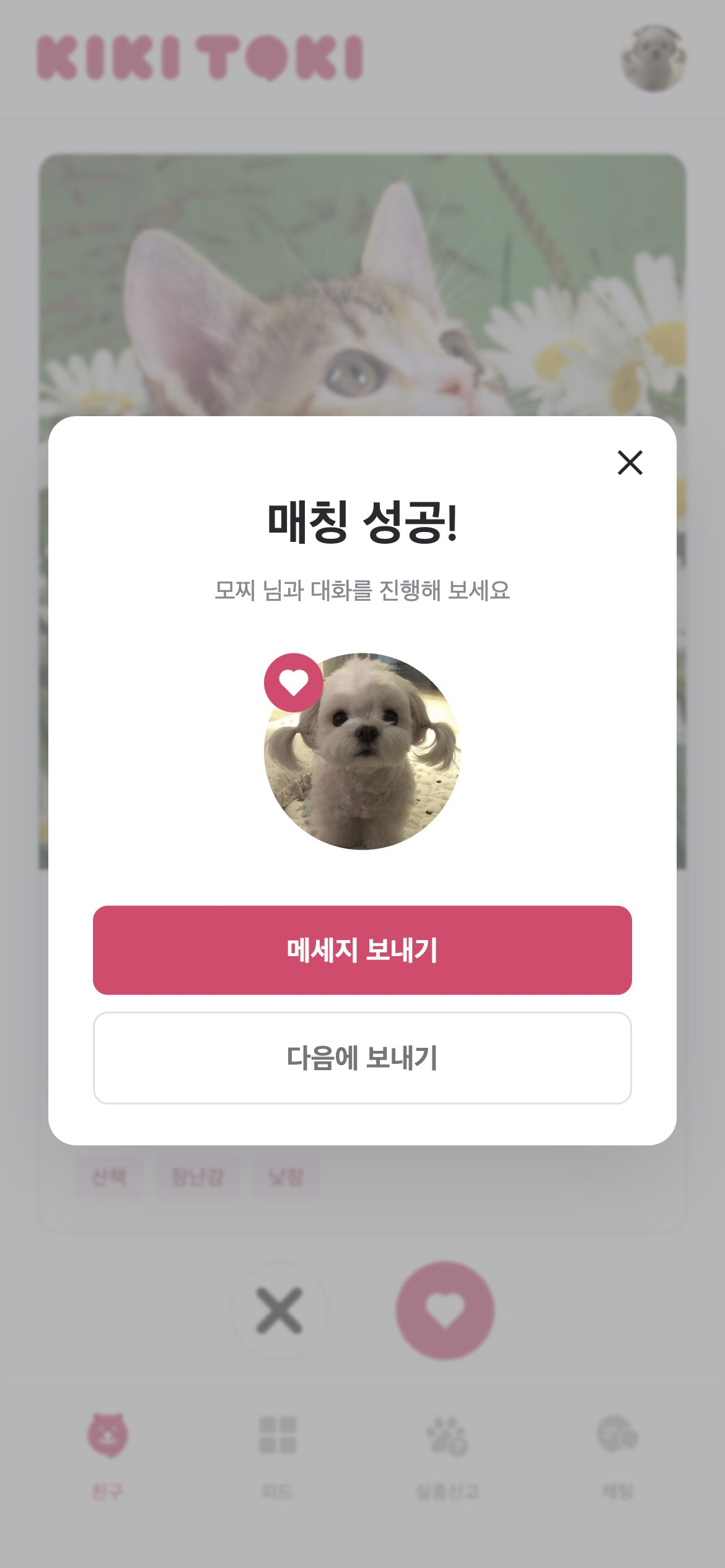 키키토키 서로 좋아요를 선택하면 매칭을 안내하고 메시지 보내기로 연결합니다.