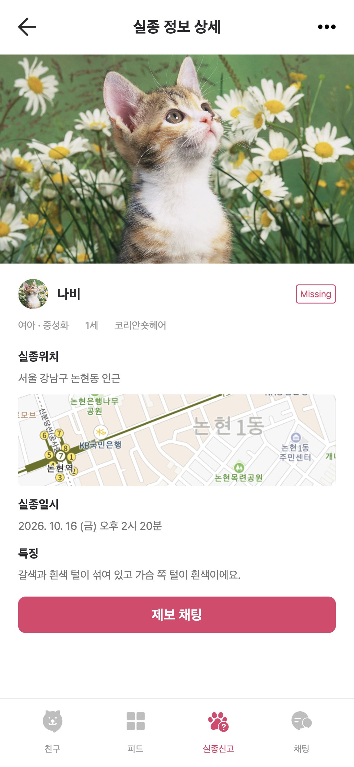 키키토키 사진·위치·일시·특징을 확인하고 보호자와 제보 채팅을 시작합니다.