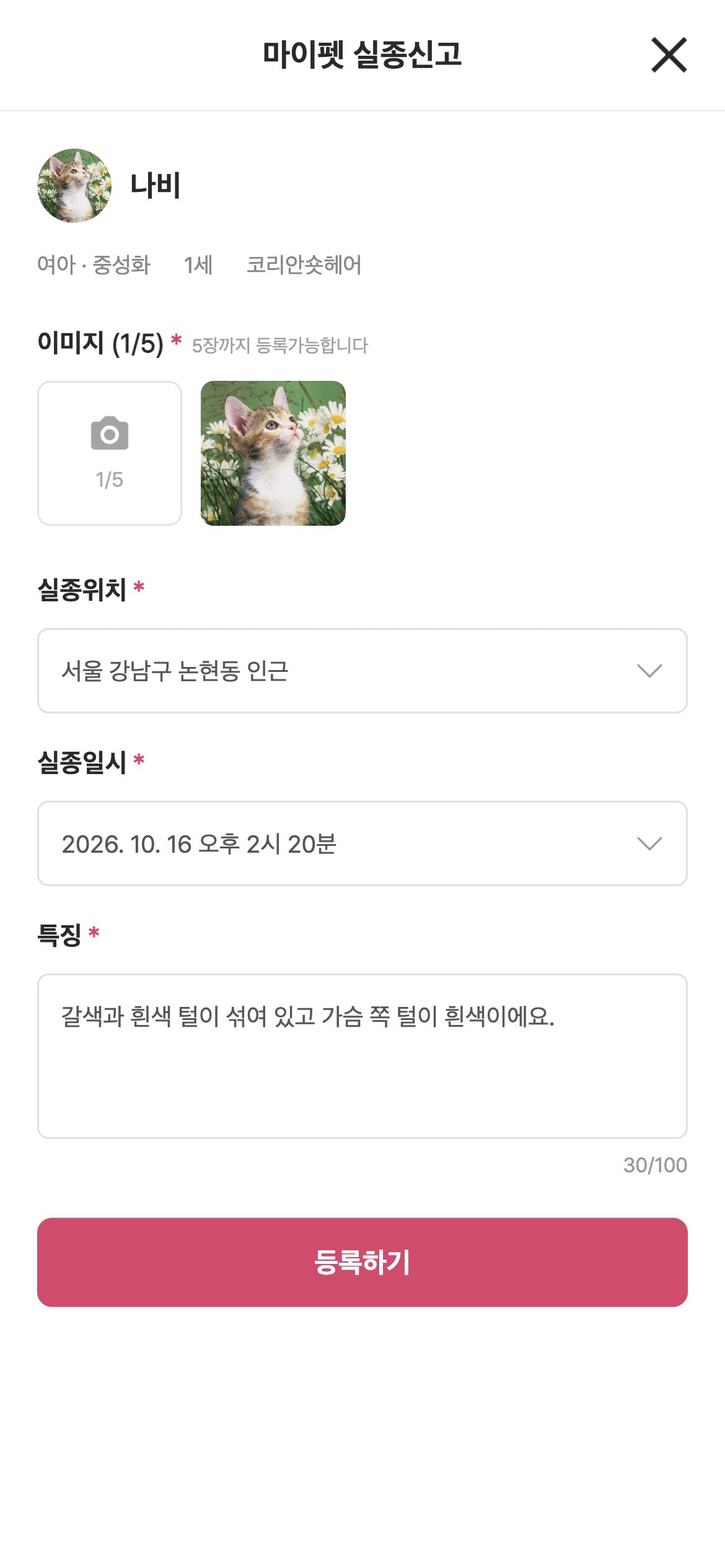 키키토키 반려동물 사진·실종 위치·일시와 특징을 입력해 실종 신고를 등록합니다.