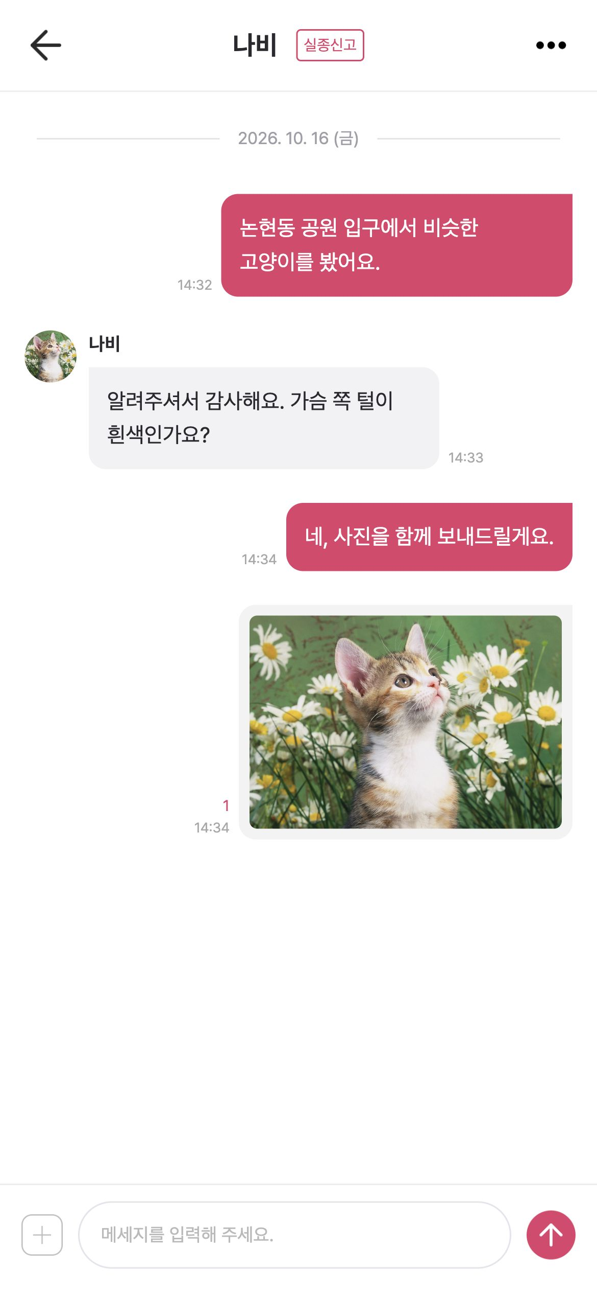 키키토키 실종 신고에 연결된 대화에서 발견 상황을 설명하고 사진을 함께 전송합니다.