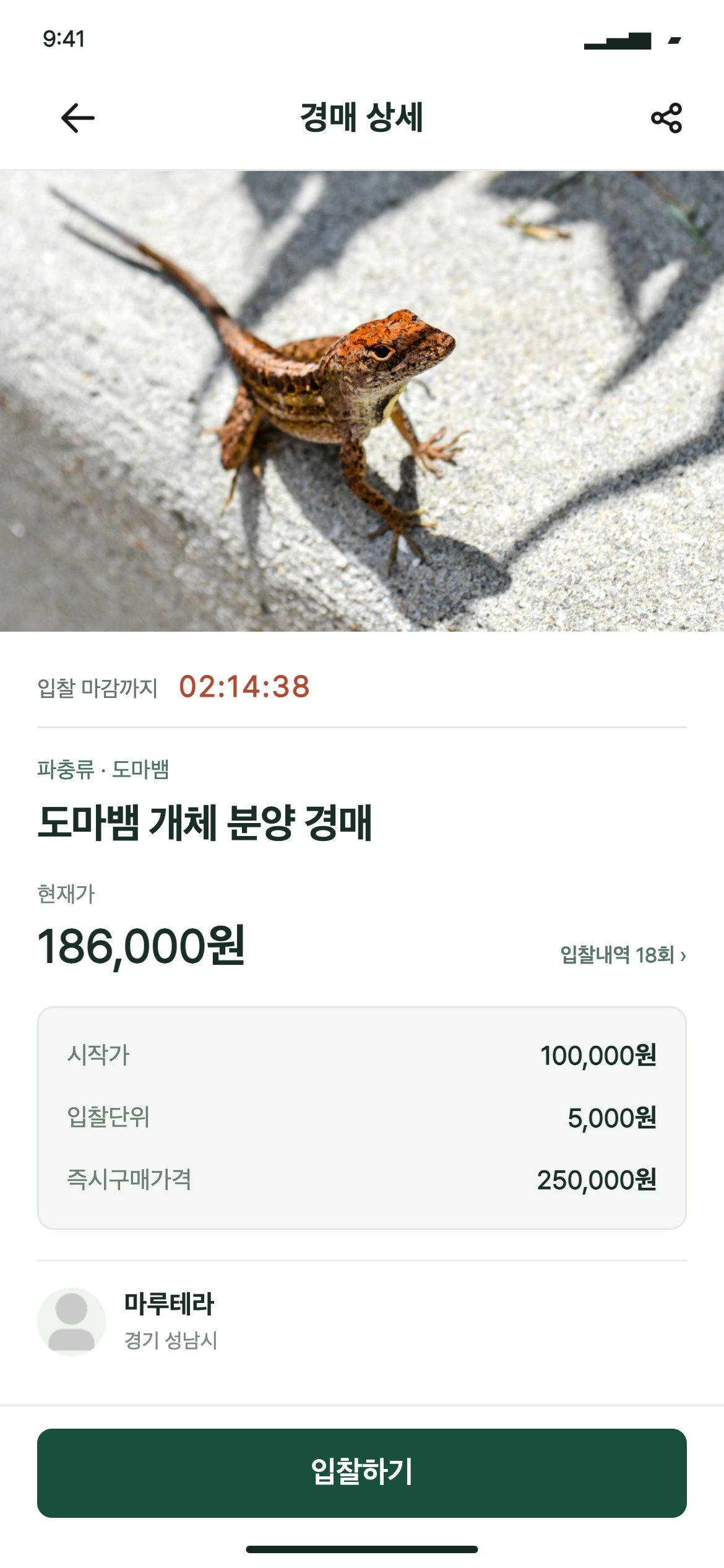 모프마루 경매 상세 · 현재가와 남은 시간